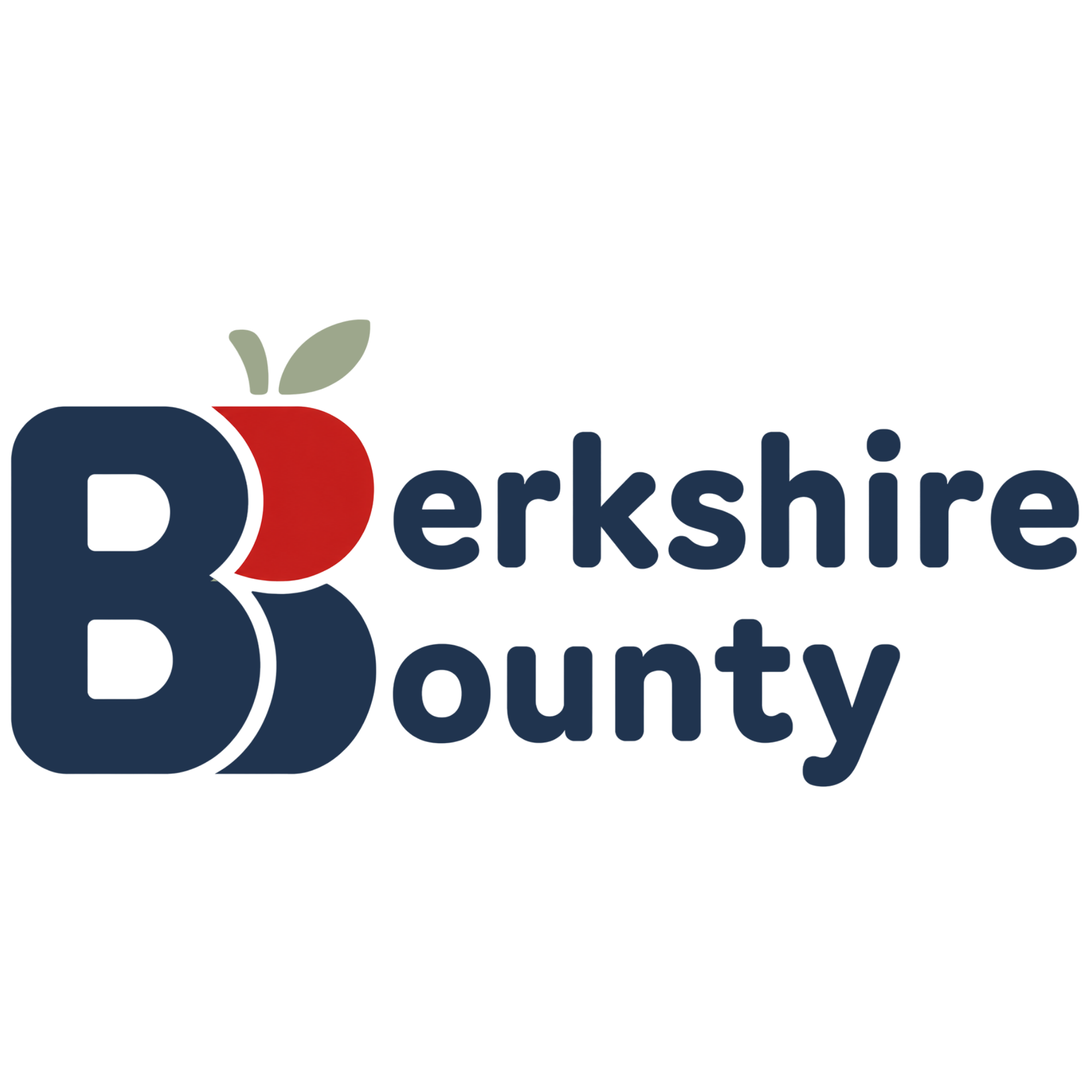 2026 FUN(D) Raising Pickleball Tournament - logo